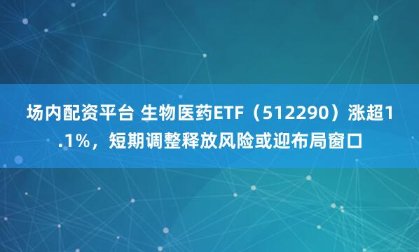 场内配资平台 生物医药ETF（512290）涨超1.1%，短期调整释放风险或迎布局窗口