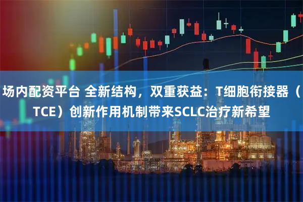 场内配资平台 全新结构，双重获益：T细胞衔接器（TCE）创新作用机制带来SCLC治疗新希望